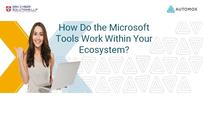How Do the Microsoft Tools Work Within Your Ecosystem?