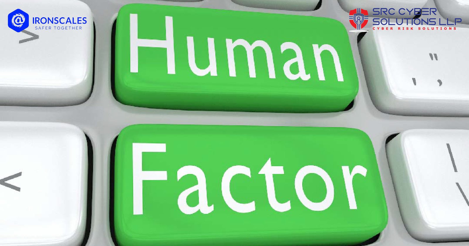 The Human Factor in Email Phishing